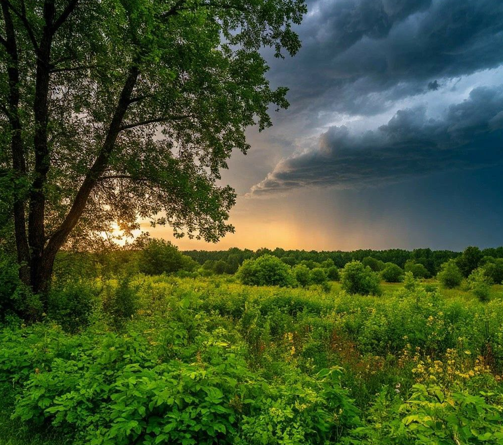 Здесь на каждом углу - вид, достойный кисти именитых живописцев!