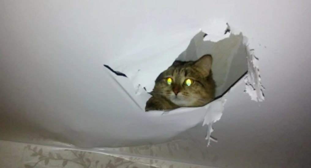 Источник Янднес.фото 