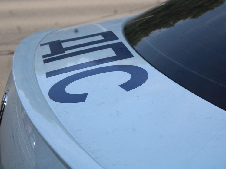     Фото: ИА «Тульская пресса»