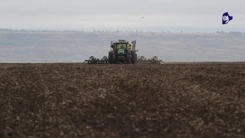      Фото: Дмитрий Ахмадуллин / / ИА «Победа26»