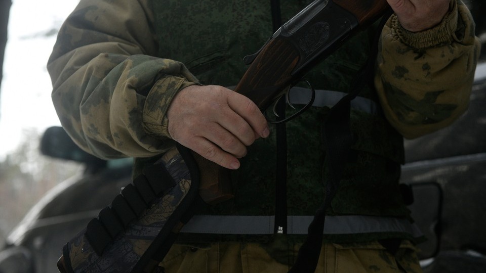 Охотники получат денежное вознаграждение за каждую добытую тушу