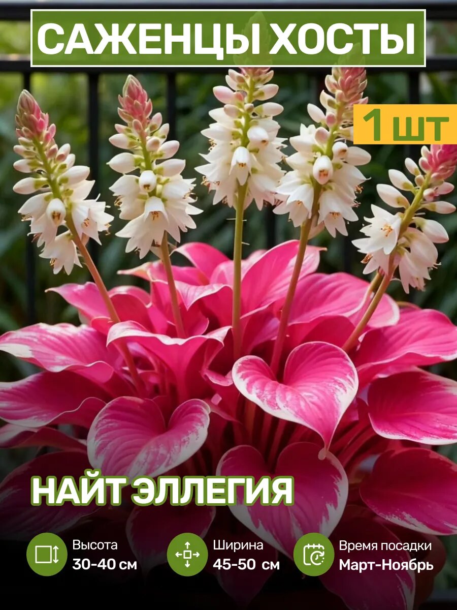 Изображение: www.wildberries.ru листаем и удивляемся