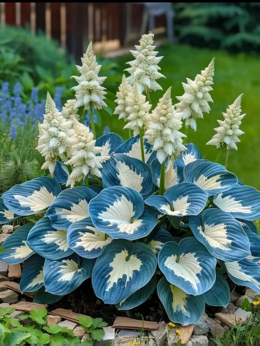 Изображение: www.wildberries.ru листаем и удивляемся