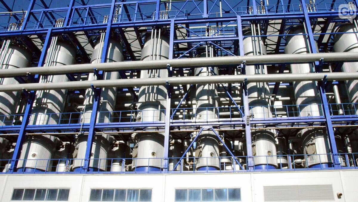    Фото: Виктория Передерий