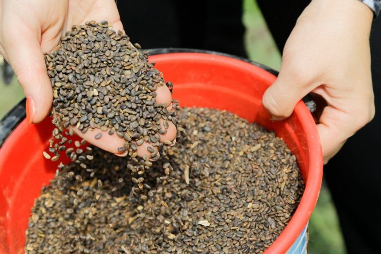 Фото: администрация Волгоградской области