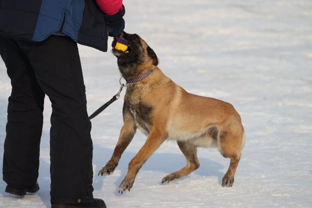 Фото: Дмитрий Куткин («Вечерний Челябинск»)