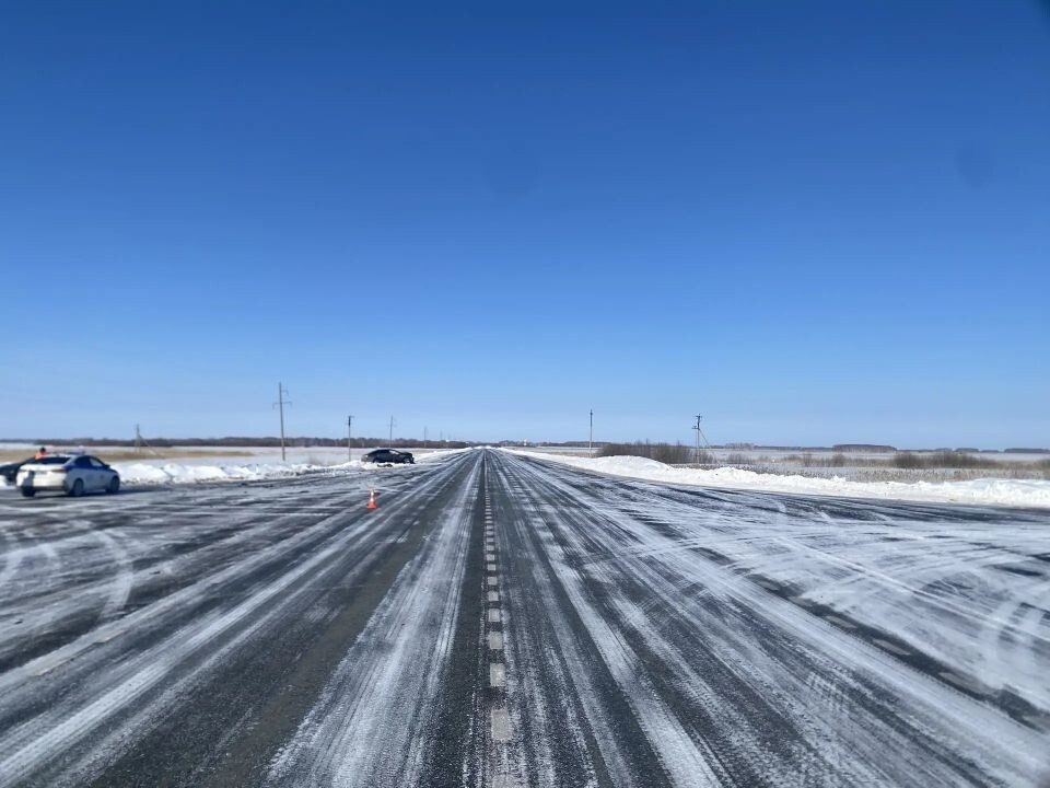   Смертельное ДТП в Новосибирской области. Источник: Госавтоинспекция Новосибирской области