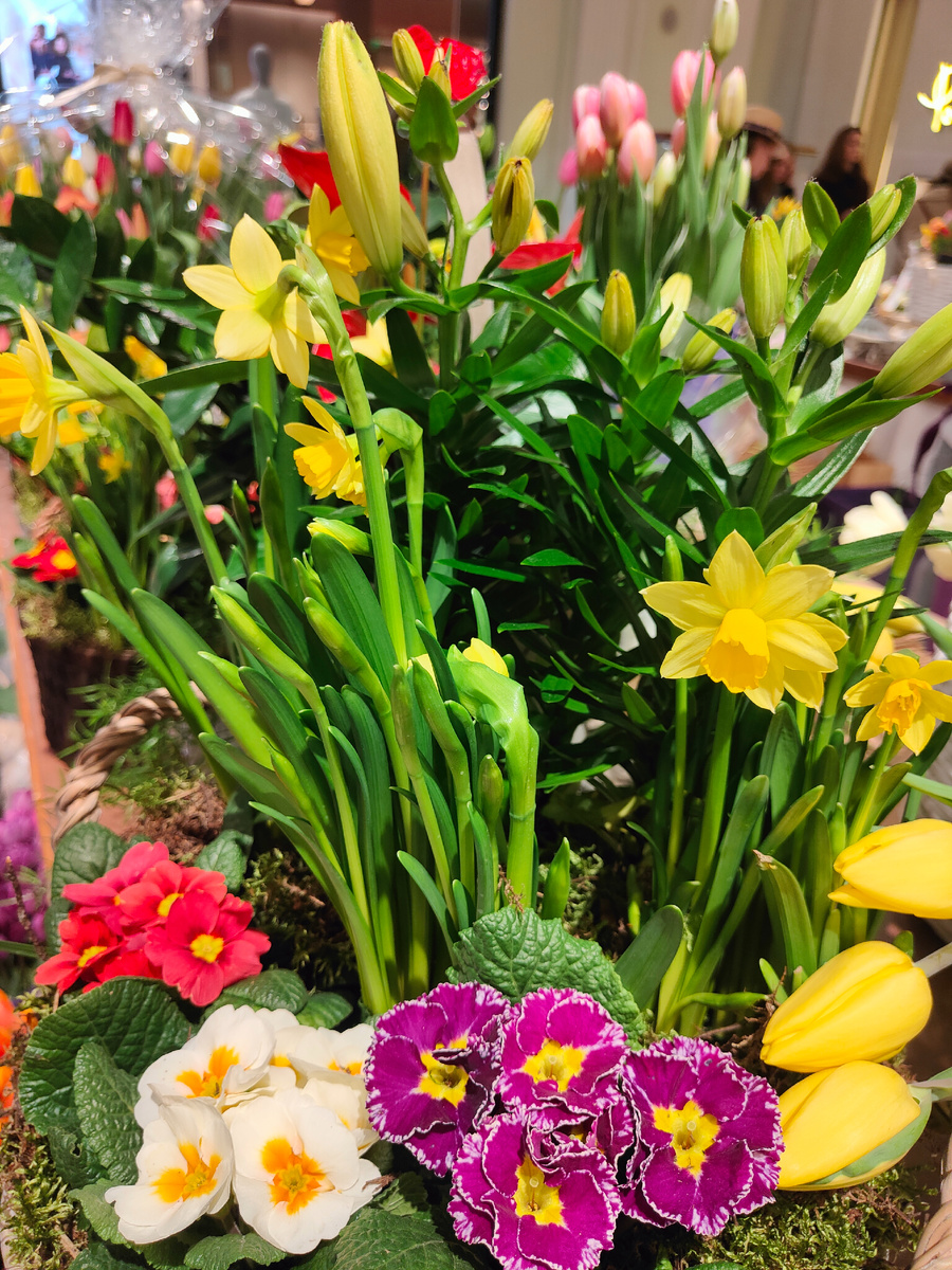 фото автора Елены М.