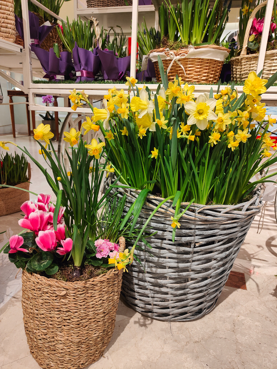 фото автора Елены М.