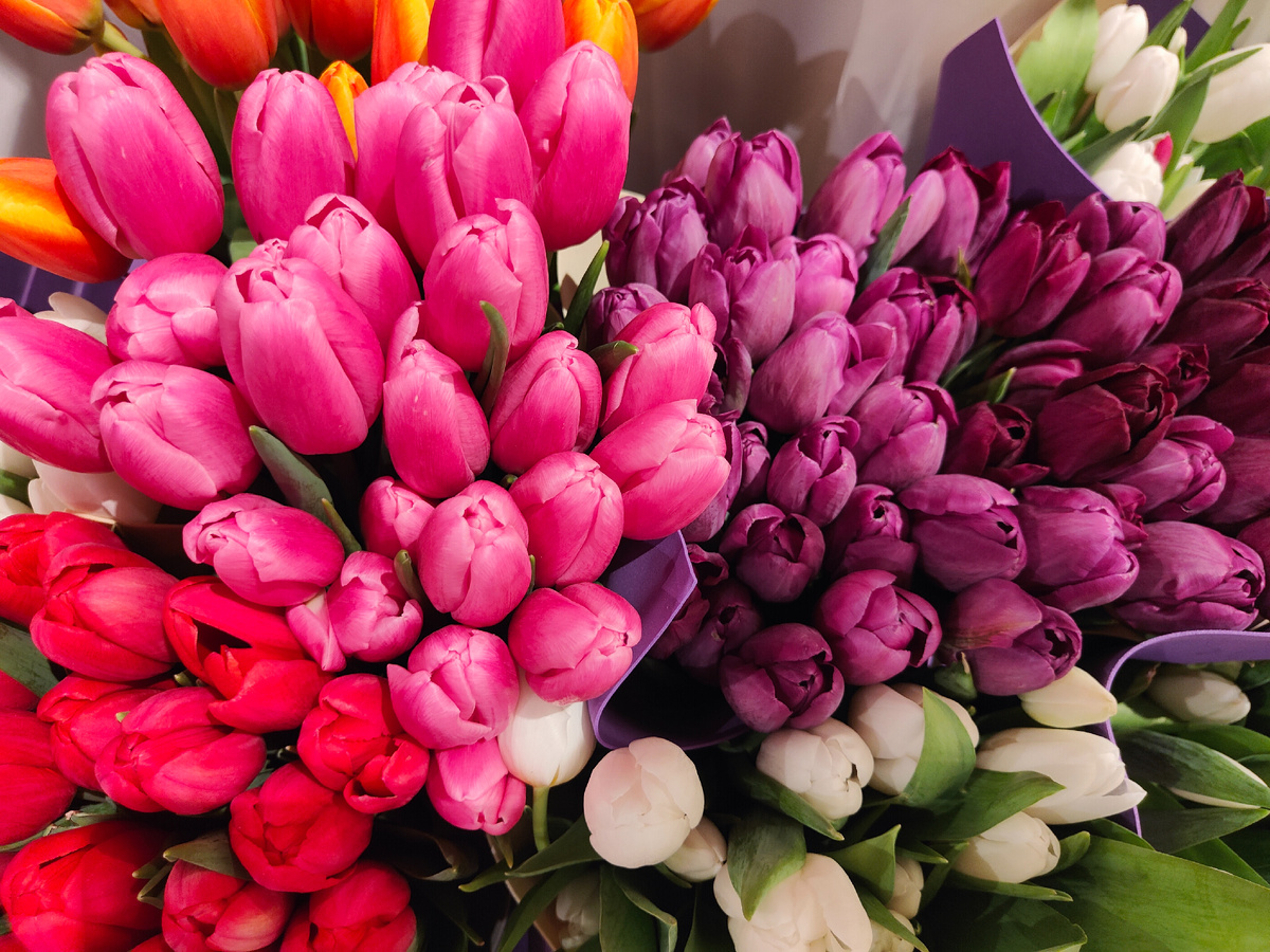 фото автора Елены М.