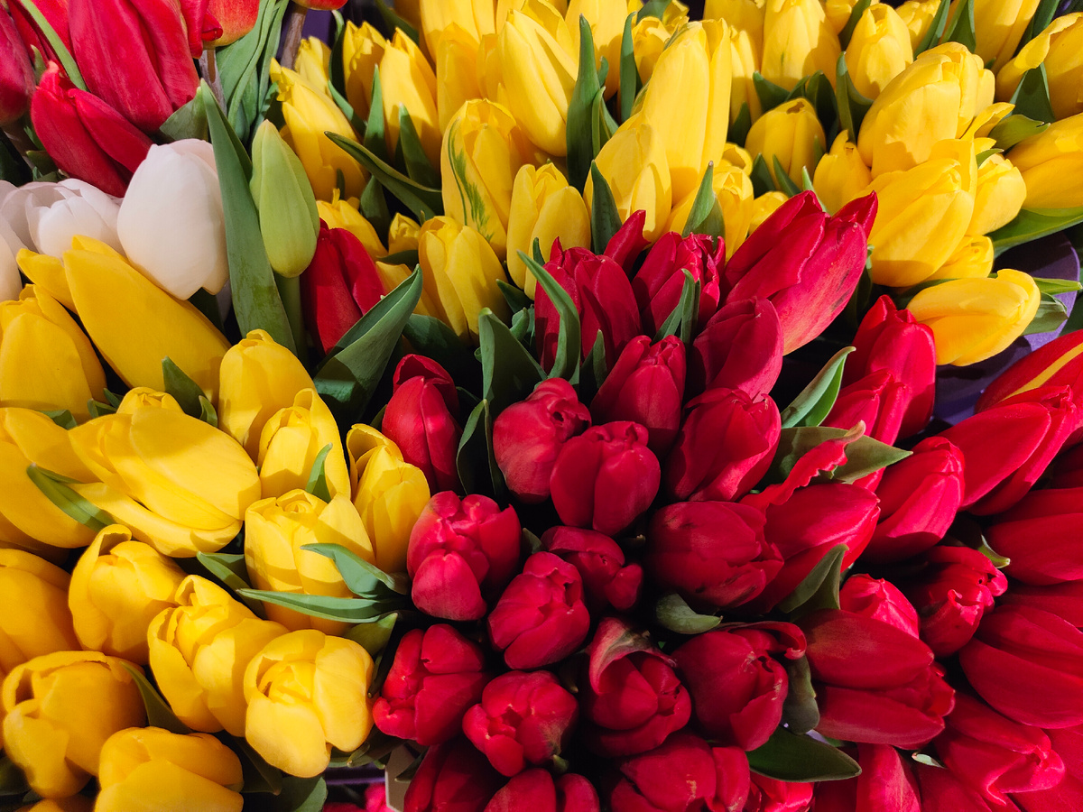 фото автора Елены М.