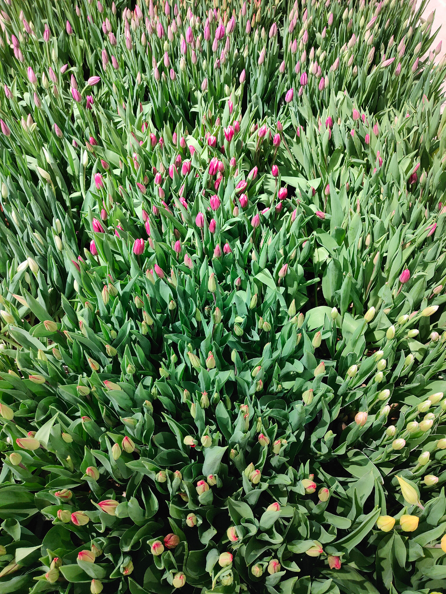 фото автора Елены М.