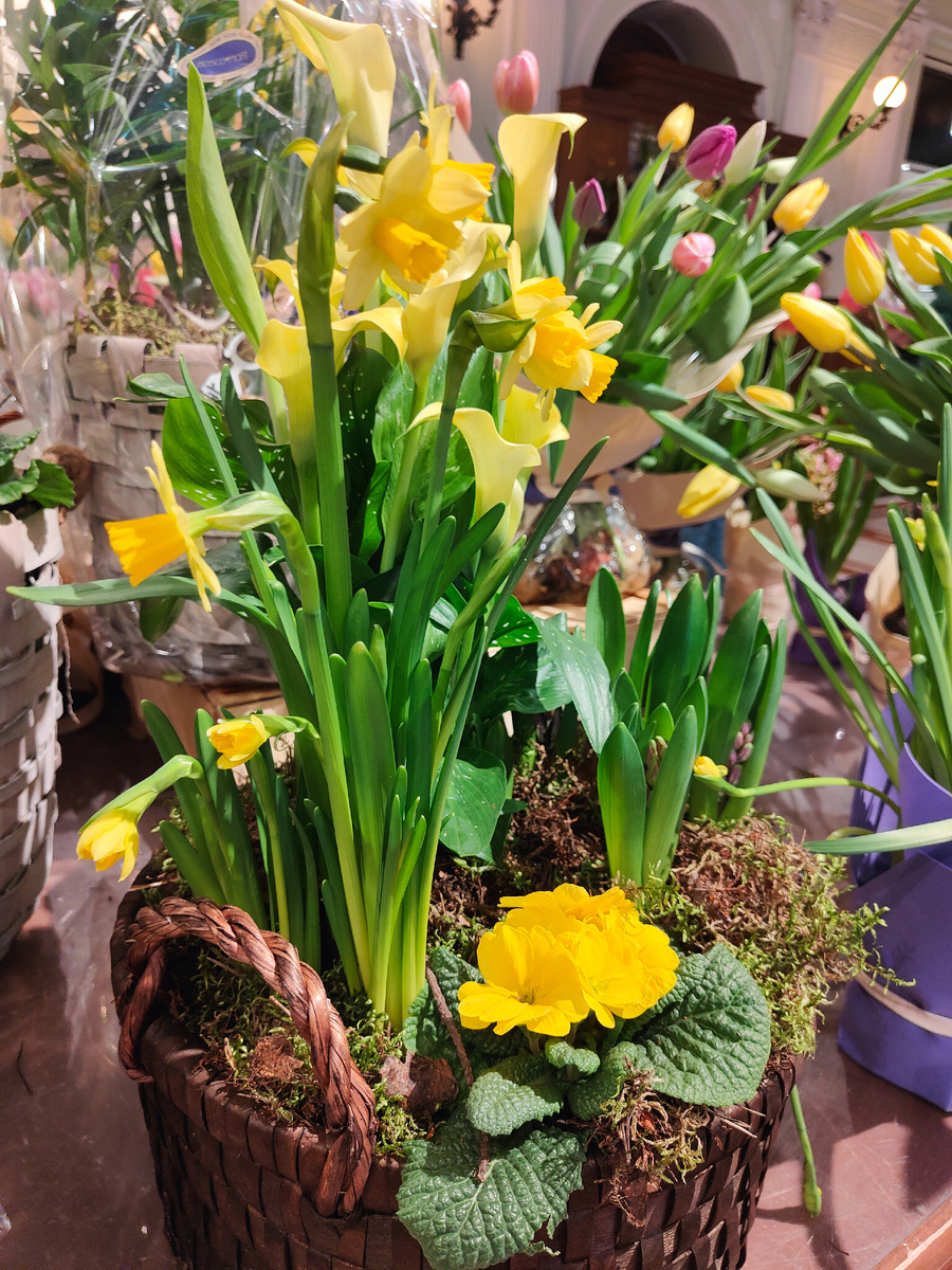 фото автора Елены М.