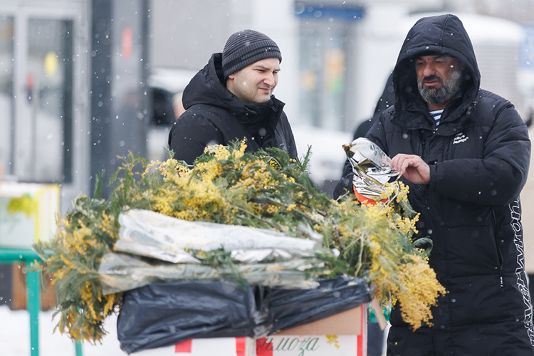    Погода в преддверии 8 Марта совсем не весенняя, однако торговцев цветами это не пугало, и уже сегодня с раннего утра они стали расставлять свой товар у Московского рынка.   
Фото: Сергей Елагин