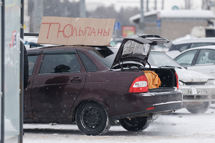    У Московского рынка торговали и с «газелей», наполненных доверху тюльпанами из апастовских теплиц, и просто с легковушек.   
Фото: Сергей Елагин