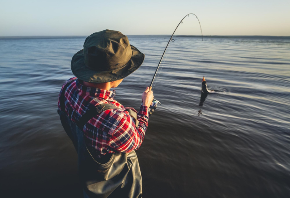    Shutterstock/FOTODOM