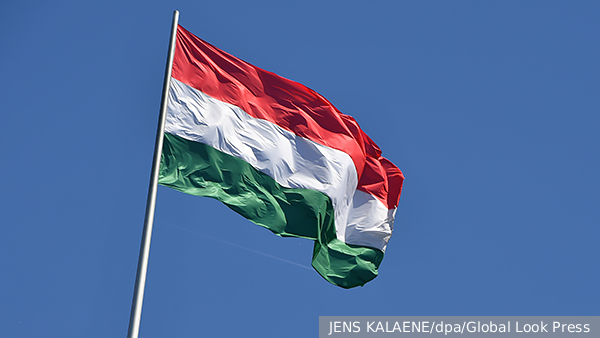     Фото: JENS KALAENE/dpa/Global Look Press   
 Текст: Алексей Дегтярёв