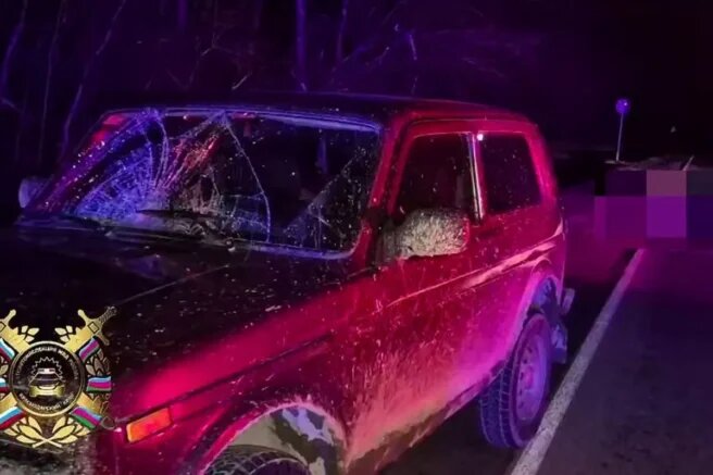    Фото: t.me/gibdd123region