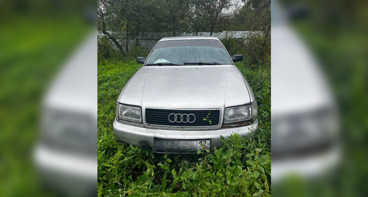    "Прокуратура Республики Марий Эл"