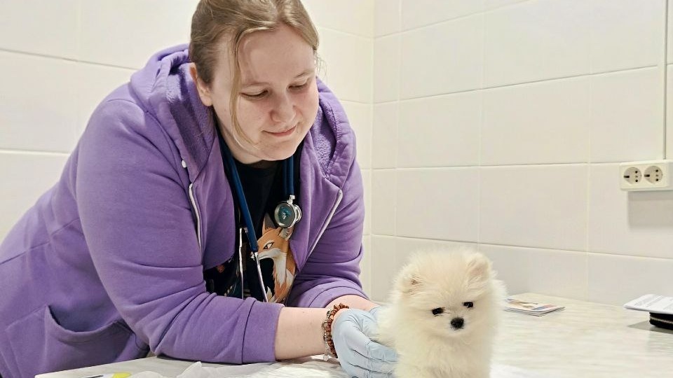 😻Милоты вам в ленту