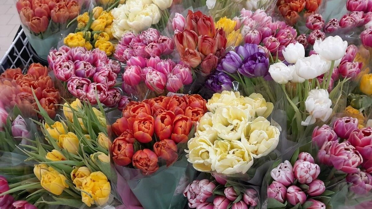   Ирина Вайтукова / udm-info.ru