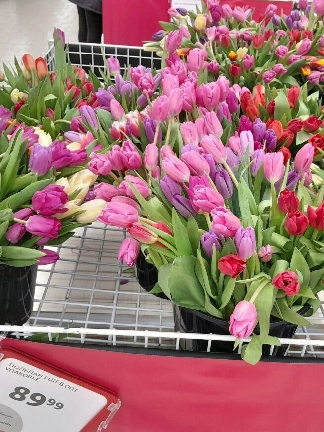    Самые дешевые тюльпаны в гипермаркете «Ашан» — от 89 рублей   Ирина Вайтукова / udm-info.ru
