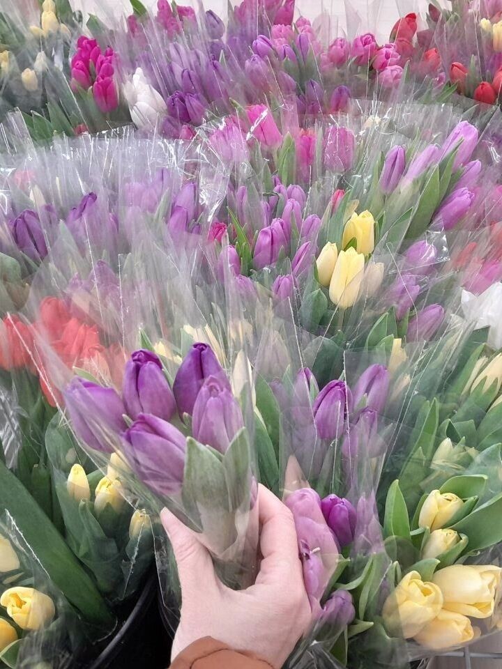    Букеты гладких тюльпанов в гипермаркете «Ашан»   Ирина Вайтукова