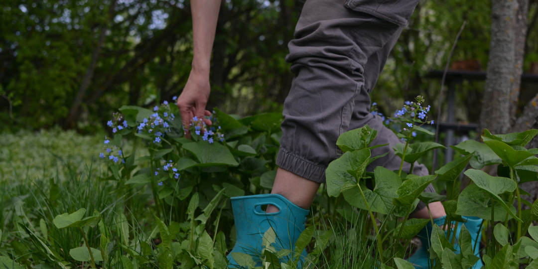 Последняя зимняя капля, или для чего вообще всё это нужно