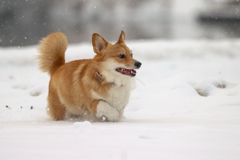    Сергей Булкин/NEWS.ru