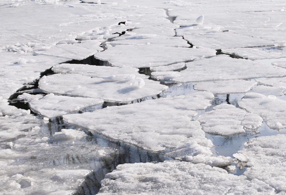    Shutterstock/FOTODOM