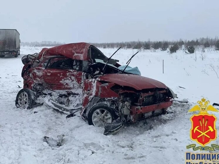     Фото: телеграм-канал Полиция Кузбасса