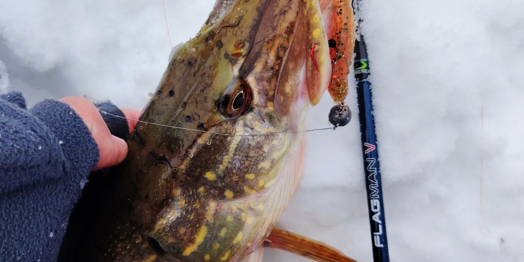 Спиннинговая весна. Начало