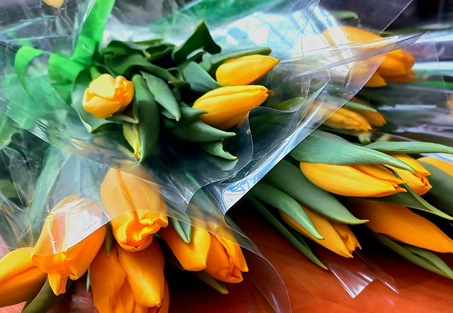 Пассажирок на вокзалах Тверской области сегодня встречали с цветами