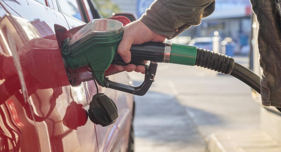    Julius-Christian Schreiner/dpa / www.globallookpress.com