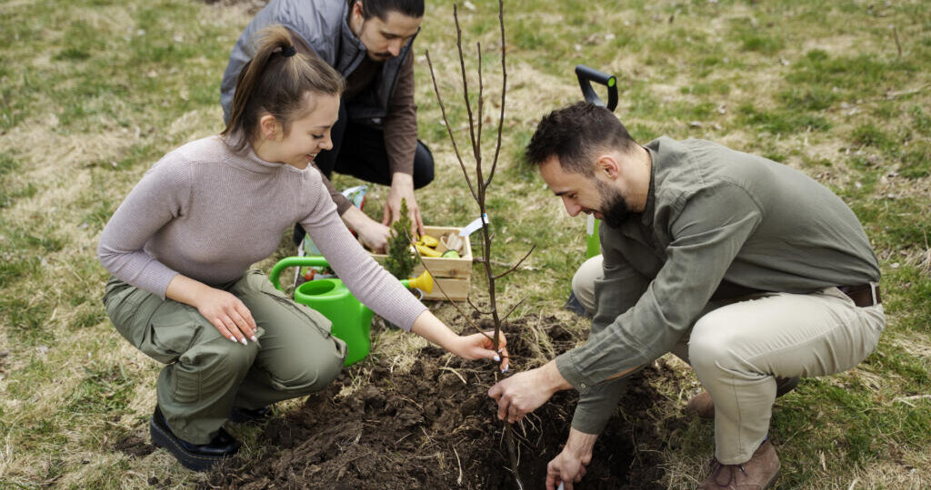 Почему саженец не растет? 7 главных причин гибели молодых деревьев после посадки