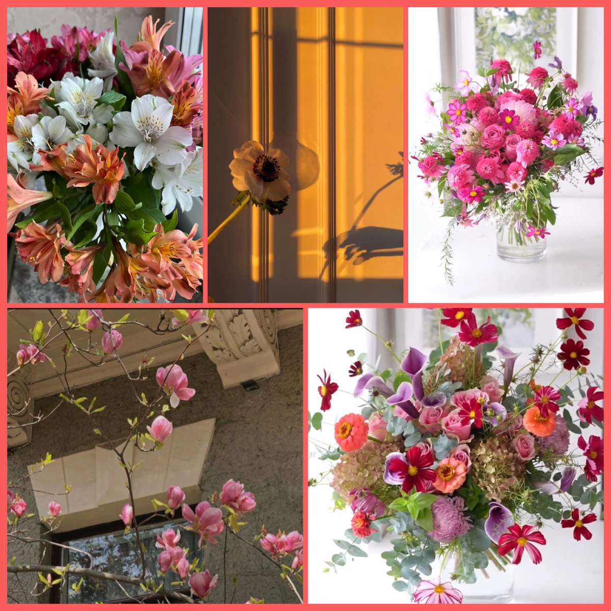 Коллаж автора