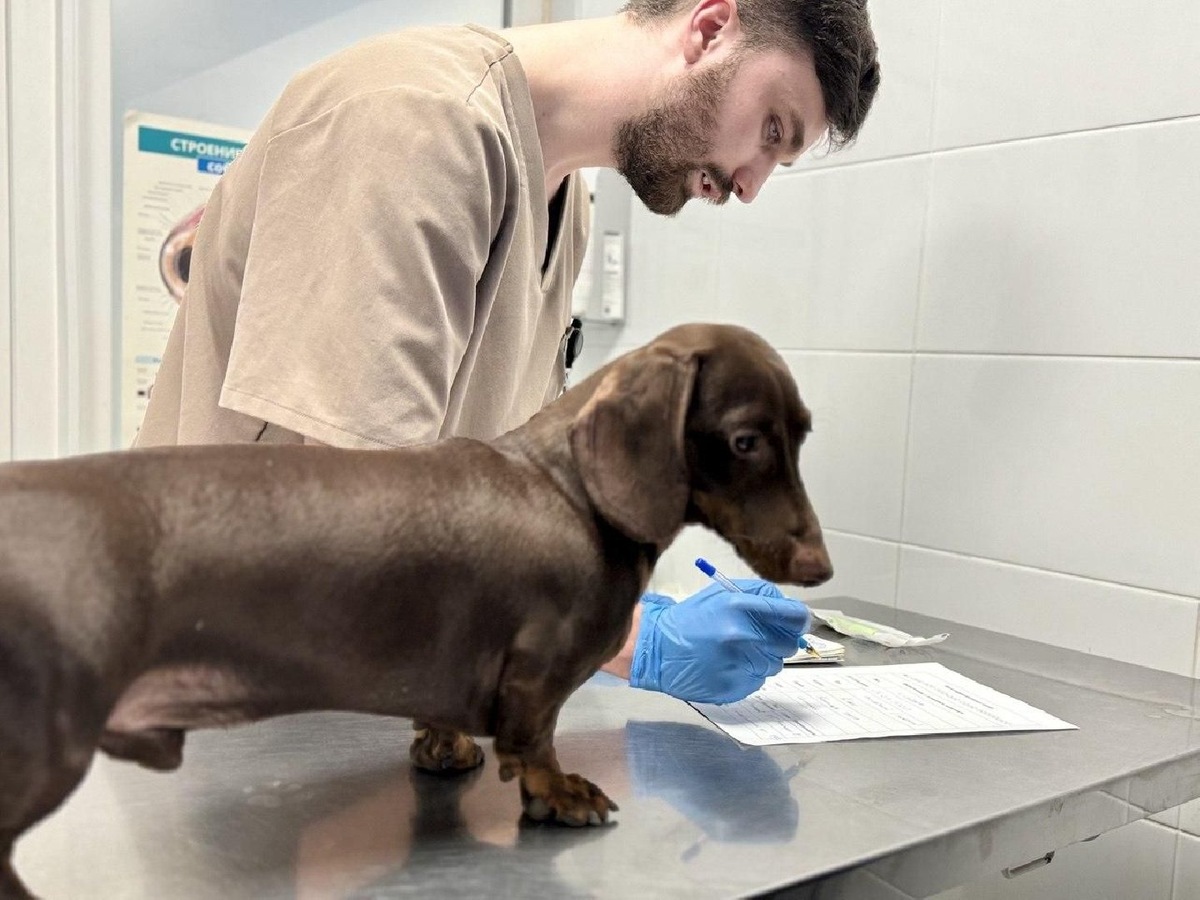    Фото: Министерство сельского хозяйства и продовольствия Московской области