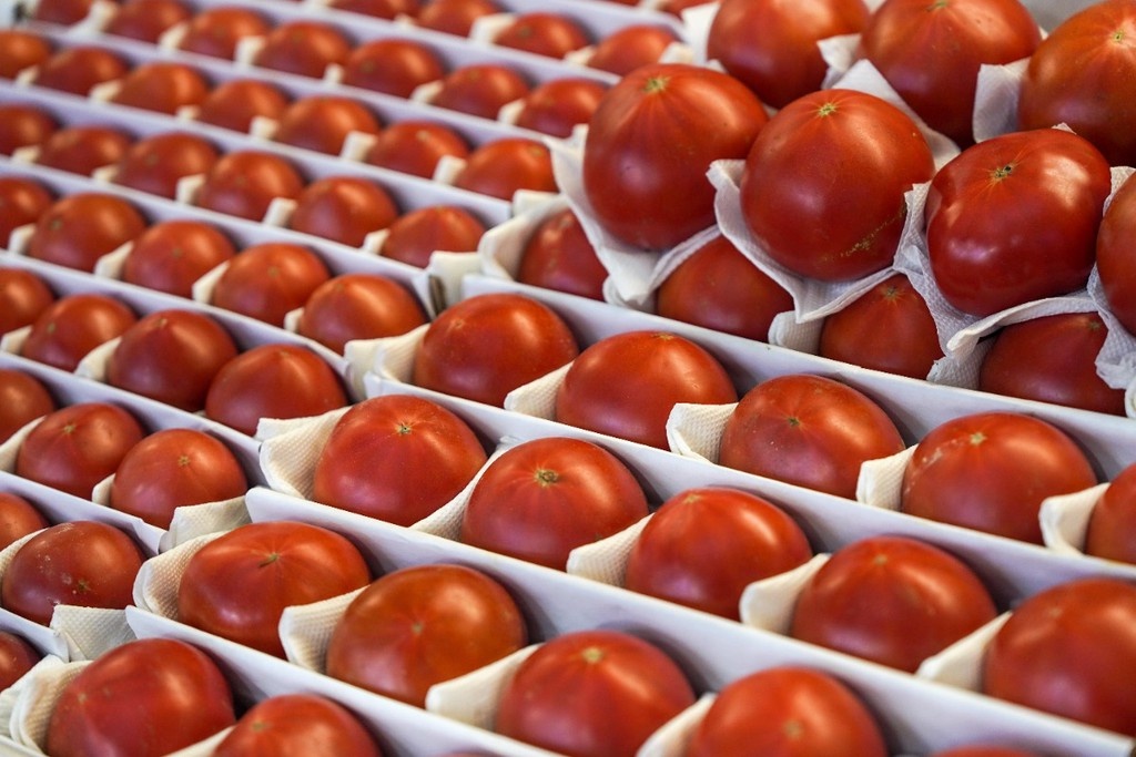    Фото © АГН «Москва» / Александр Авилов