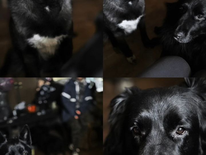 📢 Нам нужна ваша помощь в один клик