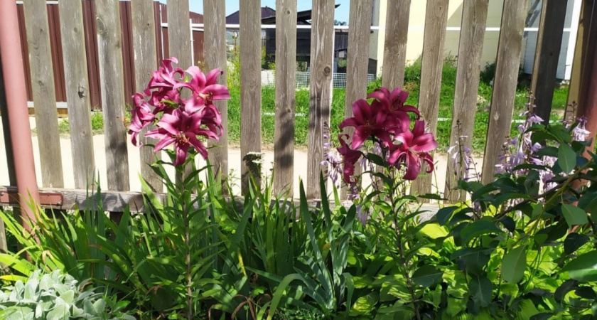    Фото Анастасии Дмитриевой