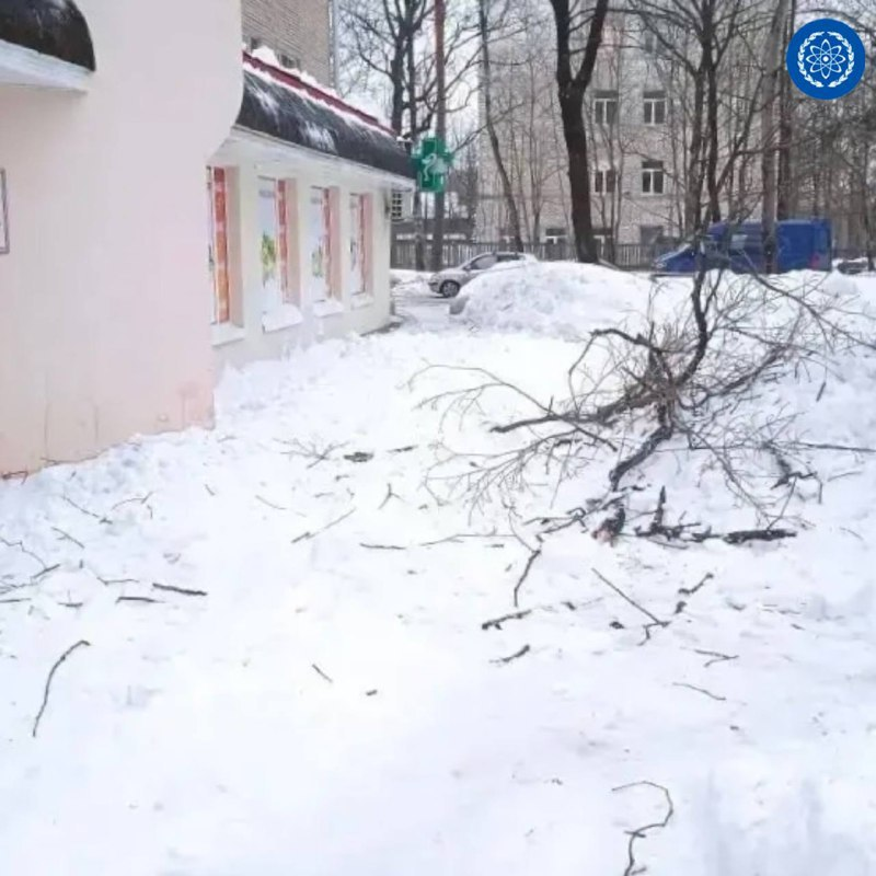    Фото: администрация Обнинска.