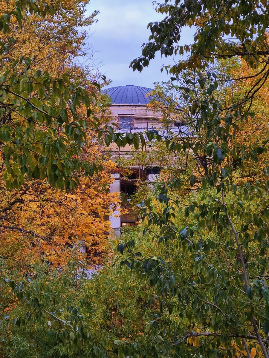 Уткина дача. Фото: Парадная гостья