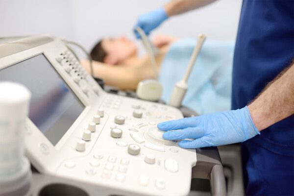 Maria Sbytova/Shutterstock/FOTODOM   📷