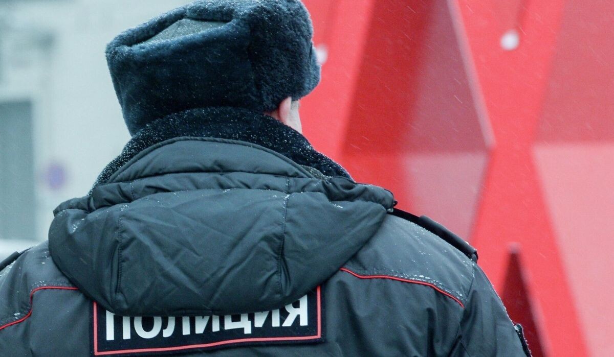     Полицейский на улице. Источник: © РИА Новости Автор фото: Евгений Одиноков