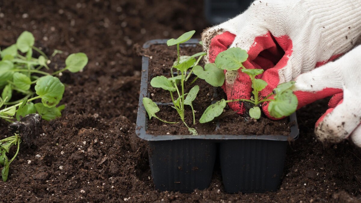    Фото: AstStudio/Shutterstock/Fotodom