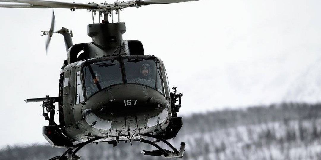 Одинокая белая волчица лежала на столе