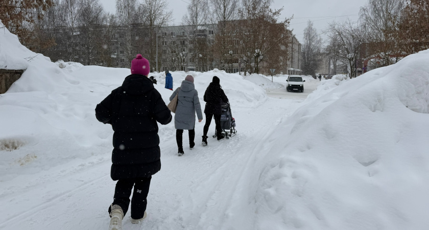    Фото: prochepetsk.ru