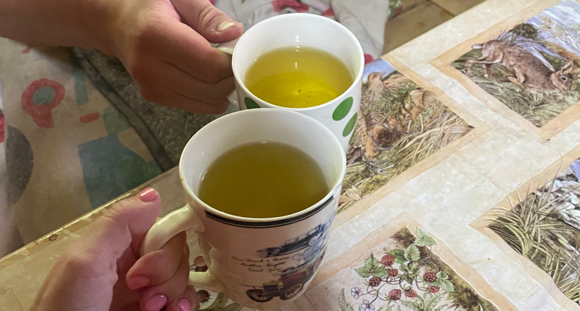    Фото progorod43.ru