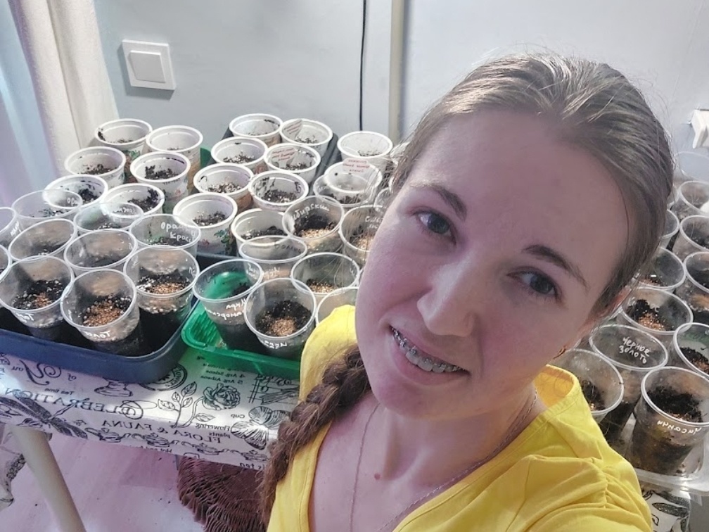 Сею по 1-2 семени в 0.5 литровый стакан