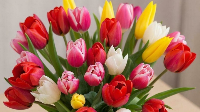 Врач рассказала, какие букеты к 8 Марта безопаснее для людей с аллергией